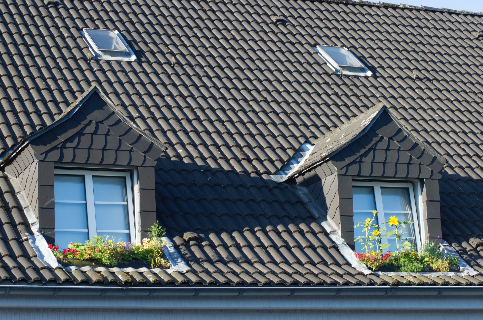 Komu przysługuje ulga termomodernizacyjna na wymianę okien dachowych?