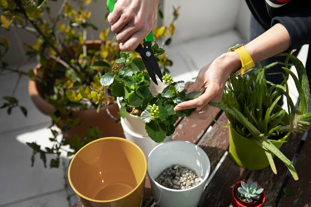 Jak wybrać idealne donice do twojego ogrodu – praktyczny przewodnik