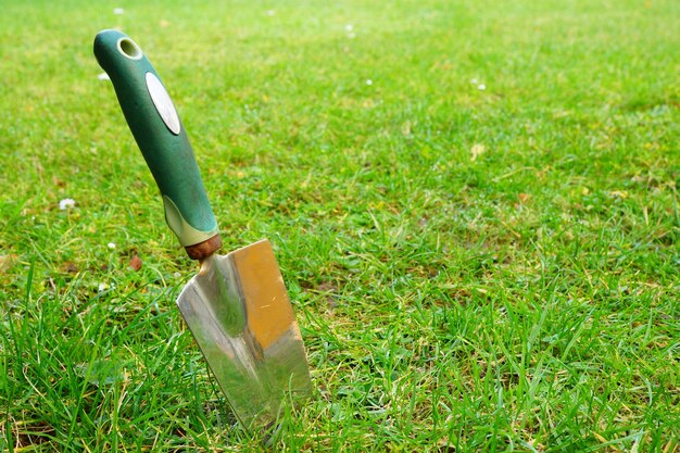 Jak skutecznie utrzymać zielony trawnik przez cały rok: poradnik dla początkujących